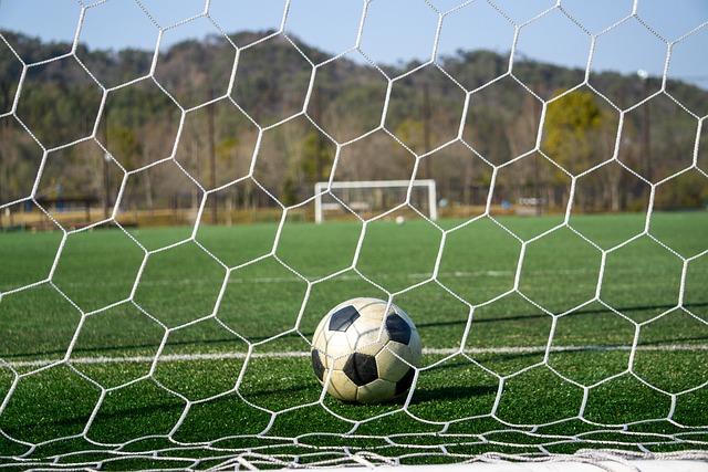 参赛队员们 参赛队员们