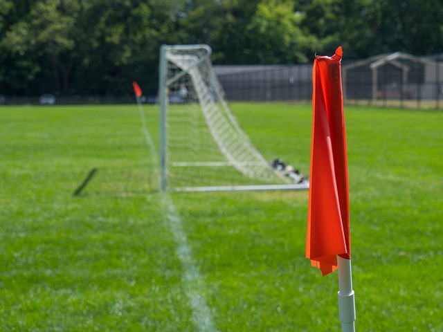 加强替补球 加强替补球