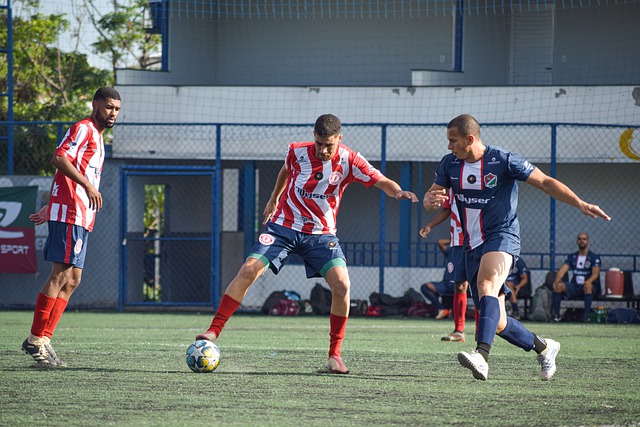 了新的期待 了新的期待