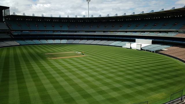 数据支撑 数据支撑