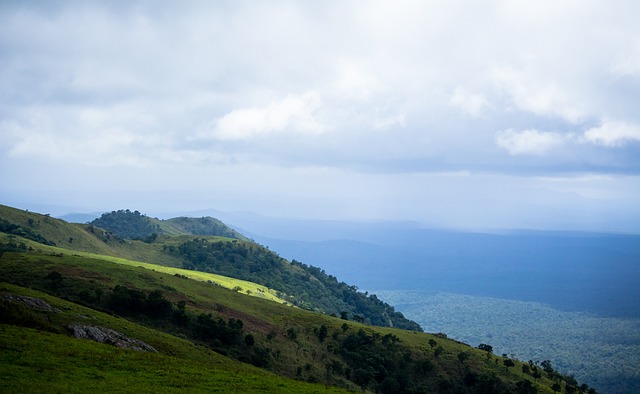 调了在比赛 调了在比赛
