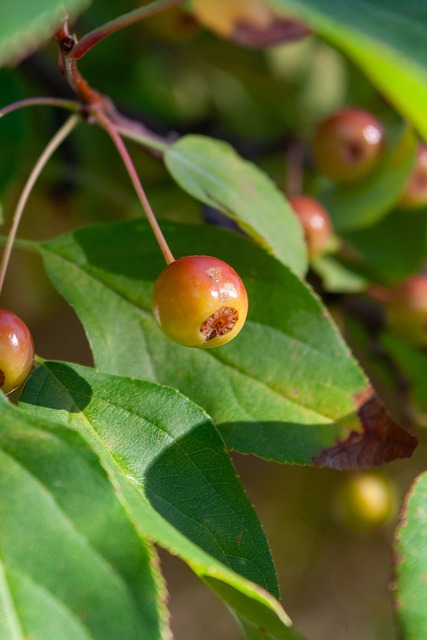 超级杯不仅 超级杯不仅