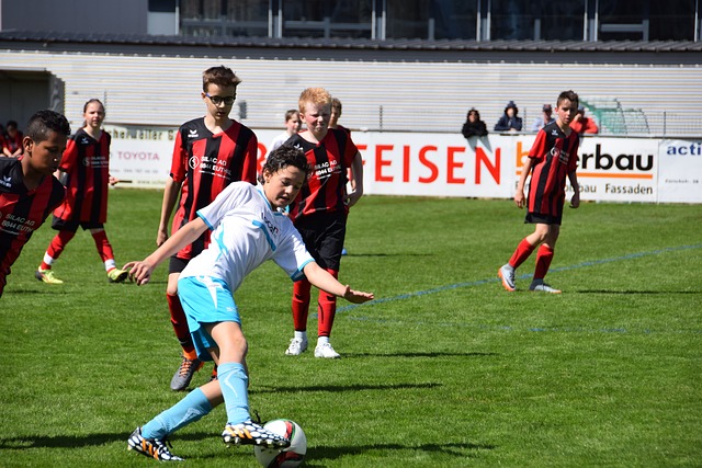 的道歉引发 的道歉引发