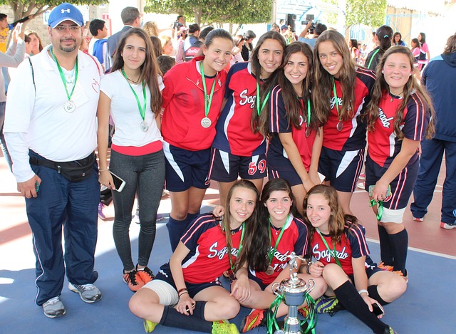 提供了高效 提供了高效